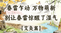 【二十四節(jié)氣灸】春雷驚醒濕氣！驚蟄艾灸3穴，疏肝祛濕養(yǎng)元氣！